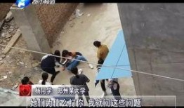 校园最新事件爆料,揭秘最新事件背后的真相