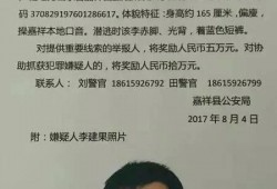 济宁嘉祥爆料案件最新消息,案情进展与疑点重重