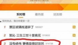 卓伟爆料翁美玲视频,翁美玲珍贵视频重现，揭秘她不为人知的另一面
