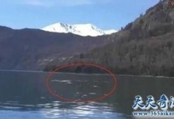 喀纳斯湖最新爆料,探寻自然奇观背后的传奇故事