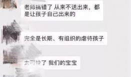 广东梅干菜爆料事件视频,真相与争议交织