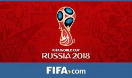 世界杯娱乐爆料网站,揭秘赛场内外精彩瞬间