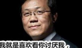 卓伟爆料翁美玲视频,翁美玲珍贵视频重现，揭秘她不为人知的另一面