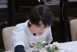 宋亚轩爆料节目视频大全,独家爆料视频大全