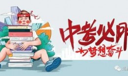 沈阳护士爆料最新消息视频,医院内部惊人真相揭露