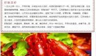 舌尖爆料龙虾视频播放在线观看,龙虾视频在线观看，美味瞬间来袭！